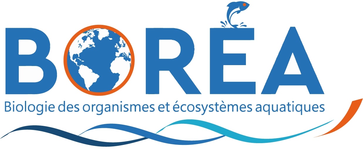 Festival du Plancton - Logo BOREA