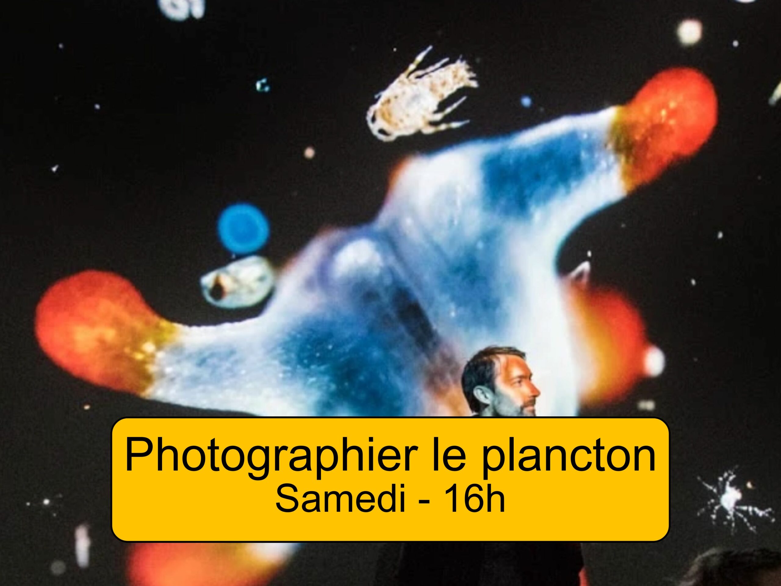 Festival du Plancton - Photographier le plancton - Samedi